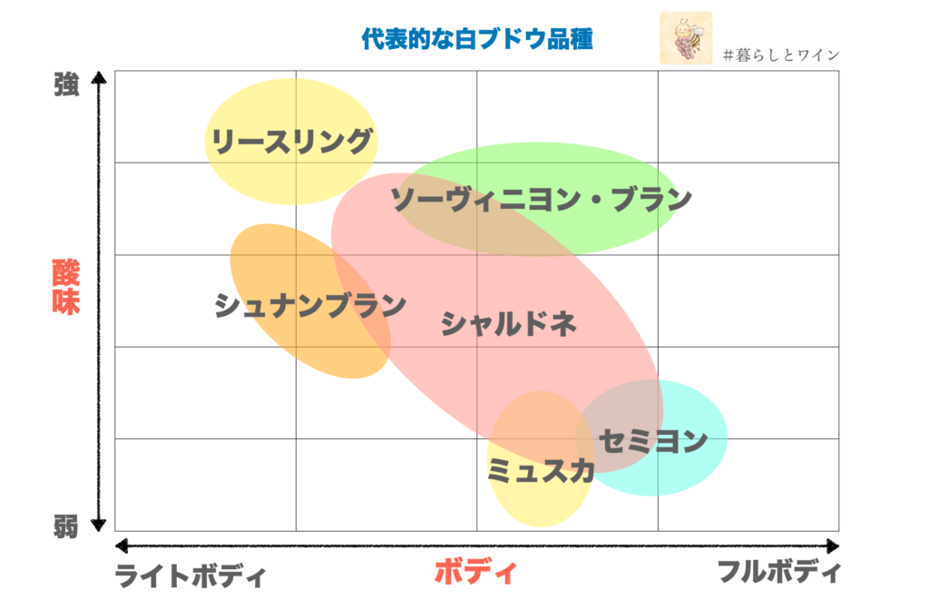 白ブドウチャート